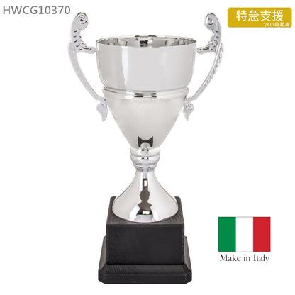特急 HWCG10370 意大利進口獎盃