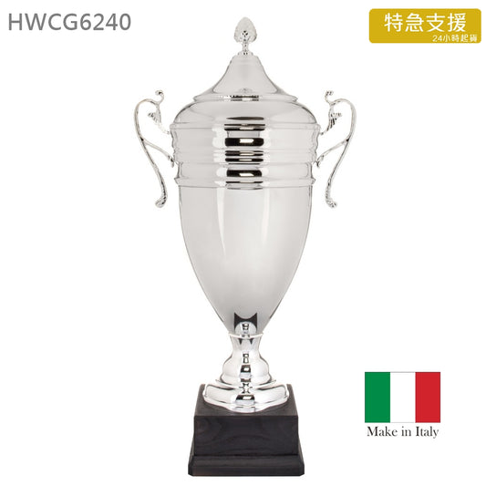特急 HWCG6240 意大利進口獎座